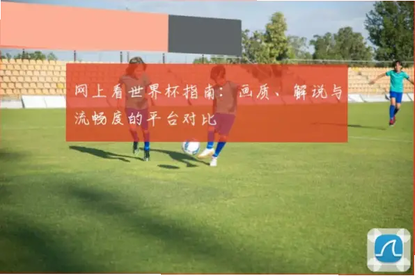 世界杯回放画质与流畅度对比指南